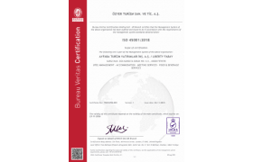 Iso 45001 Eng 3